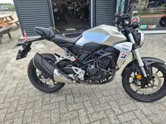 Benelli TRK 502 X 2026 occasion – foto 11 van 13