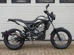 BETA ALP 4.0 X