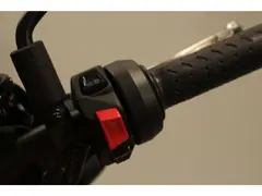 Aprilia Tuono 660 - 2022 - Quickshifter - Cruise Control 2022 occasion – foto 13 van 17