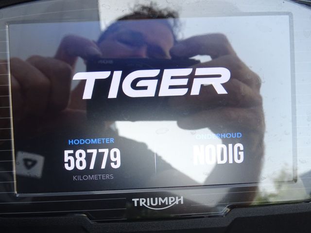 triumph - tiger-1200-xcx