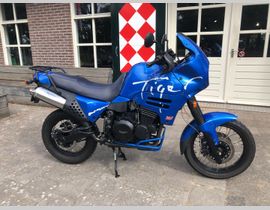 Triumph Tiger 900 1994 occasion