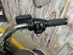 Harley-Davidson FAT BOY 114 2019 occasion – foto 14 van 16