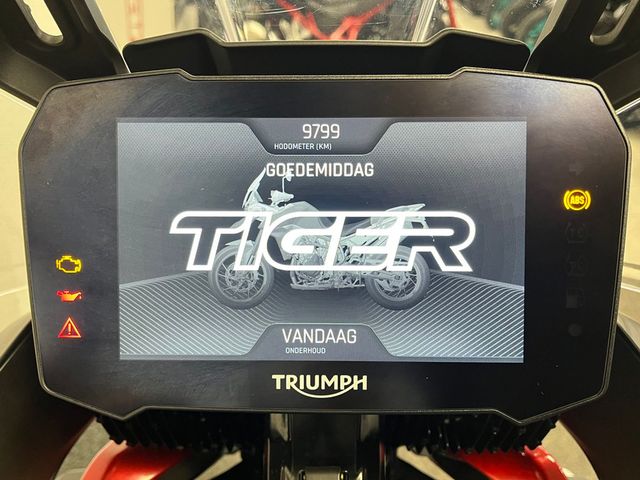 triumph - tiger-900-gt-pro