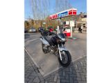 SUZUKI XF 650 FREEWIND