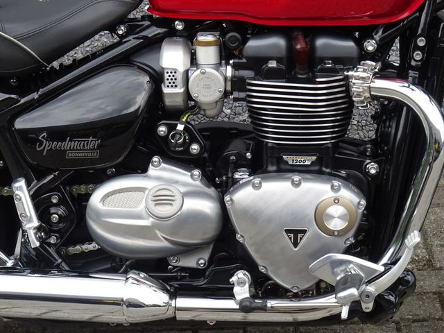 triumph - bonneville-speedmaster