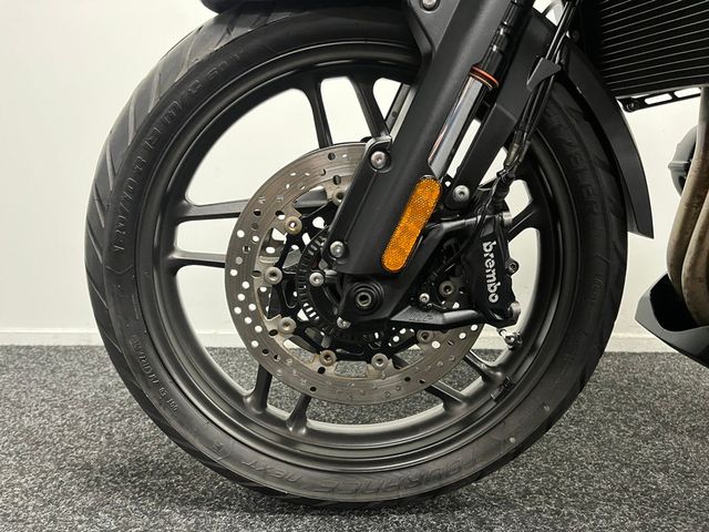 triumph - tiger-1200-alpine-edition