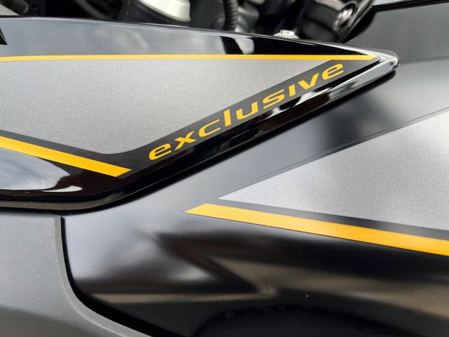 bmw - r-1250-gs