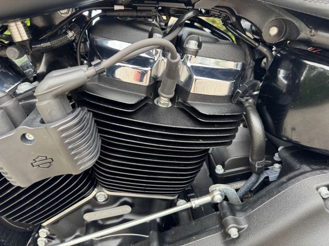 harley-davidson - fatbob