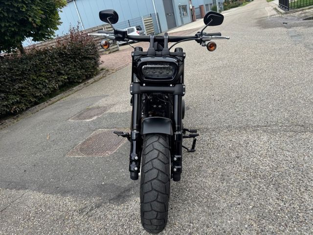 harley-davidson - fatbob