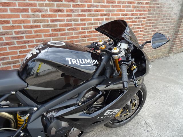 triumph - daytona-675