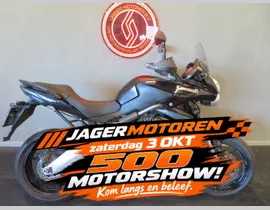 Kawasaki Versys 650 2010 occasion