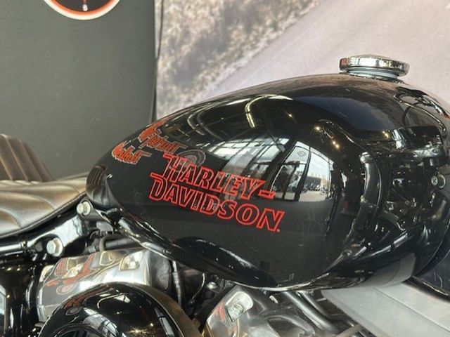 harley-davidson - softail-standard-fxst