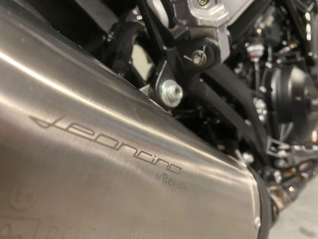 benelli - leoncino-500