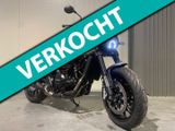 BENELLI LEONCINO 500