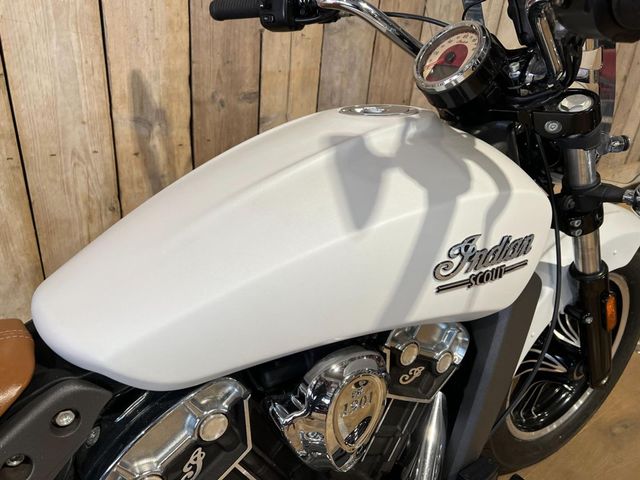 indian - scout