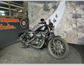 Harley-Davidson Sportster Iron XL 883 N 2010 occasion