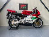 BIMOTA 500 V DUE