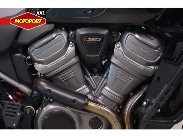 harley-davidson - pan-america-1250