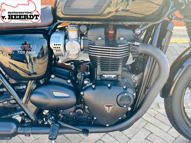 triumph - bonneville--t-120