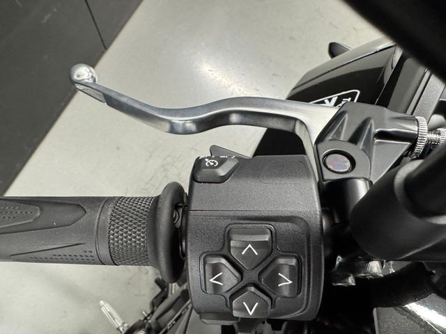 triumph - tiger-sport-660
