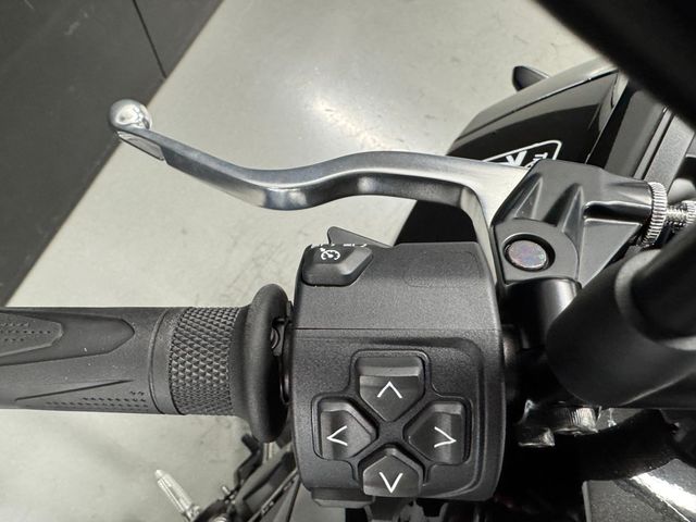 triumph - tiger-sport-660