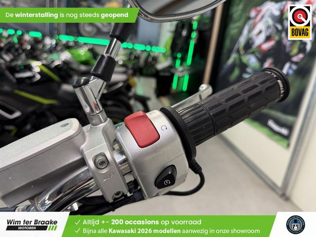 suzuki - new-intruder-m-800