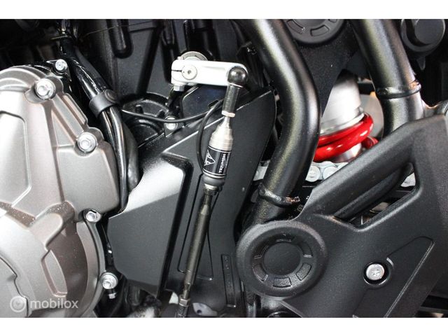 triumph - tiger-900-gt-pro