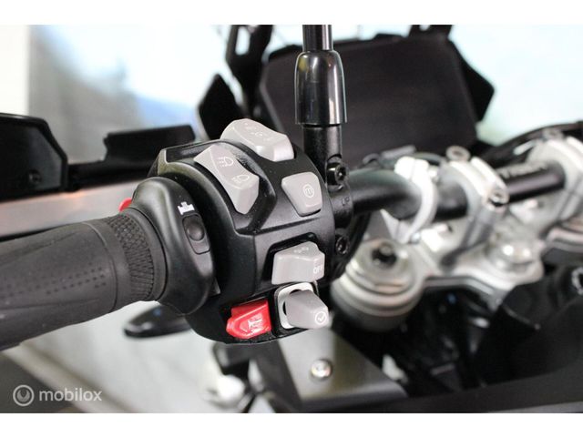 triumph - tiger-900-gt-pro