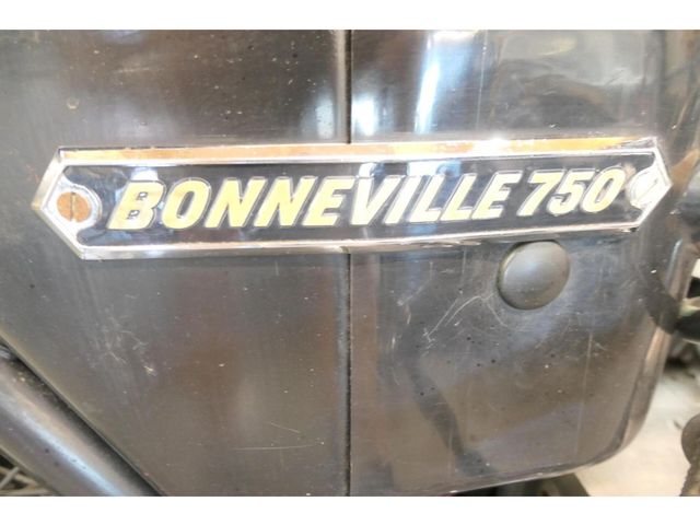 triumph - bonneville--t--140