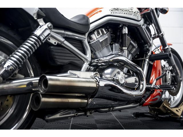 harley-davidson - night-rod-special-vrscdx