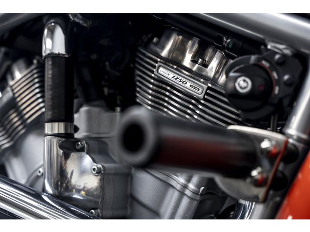 harley-davidson - night-rod-special-vrscdx