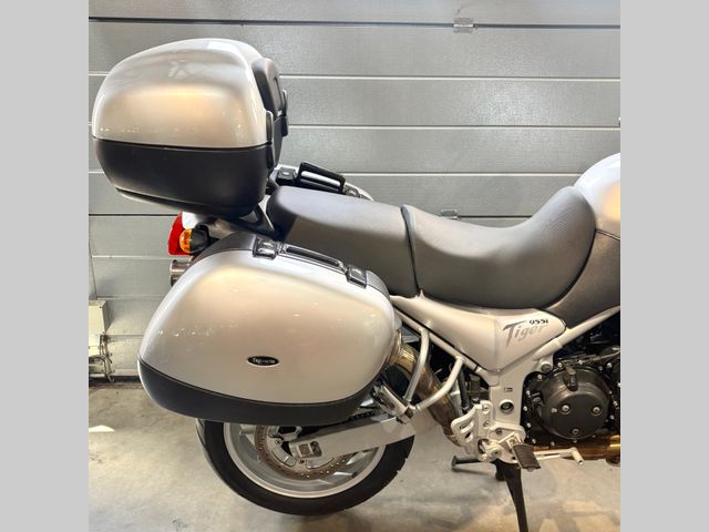 triumph - 955-i-tiger
