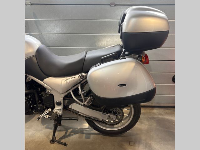 triumph - 955-i-tiger