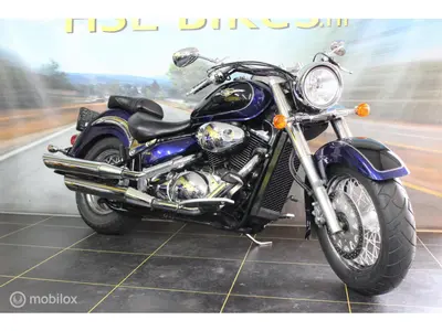 SUZUKI VL 800 VOLUSIA – foto 3
