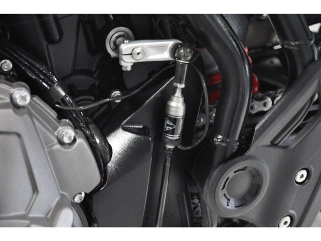 triumph - tiger-900-gt-pro