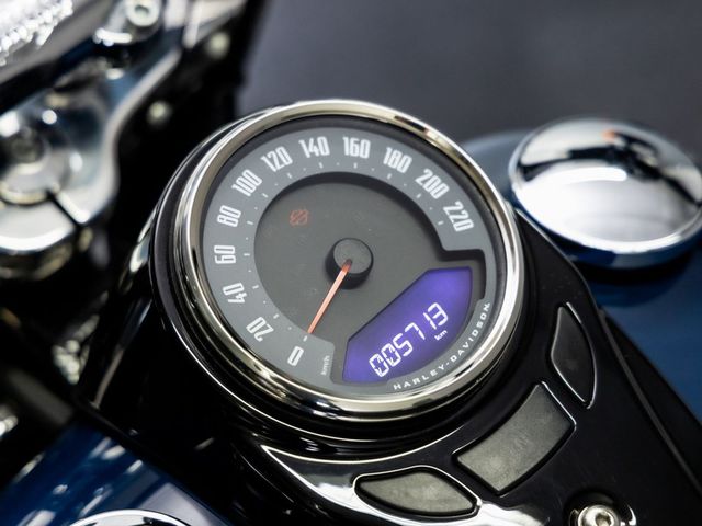 harley-davidson - softail-slim-flsl