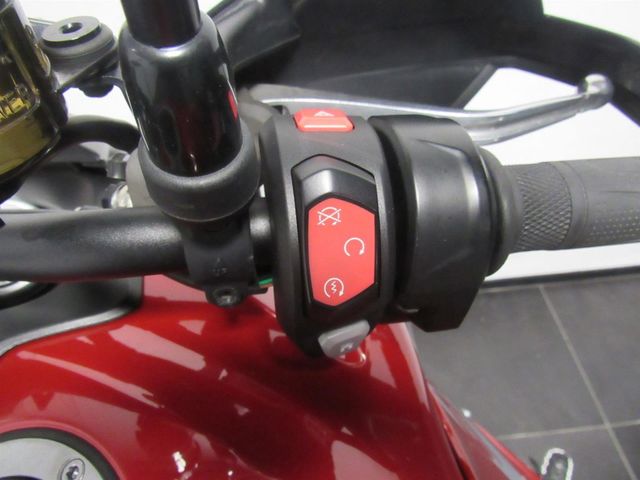 triumph - tiger-900-gt-pro