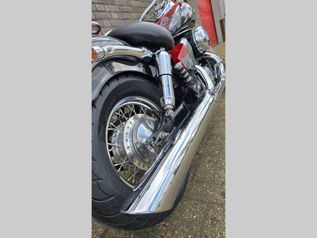 honda - vt-750-c2-shadow-ace