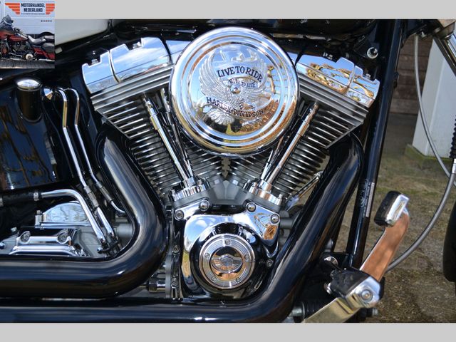 harley-davidson - softail-standard-fxst