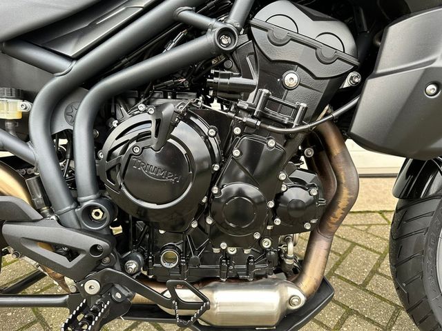 triumph - tiger-800-abs