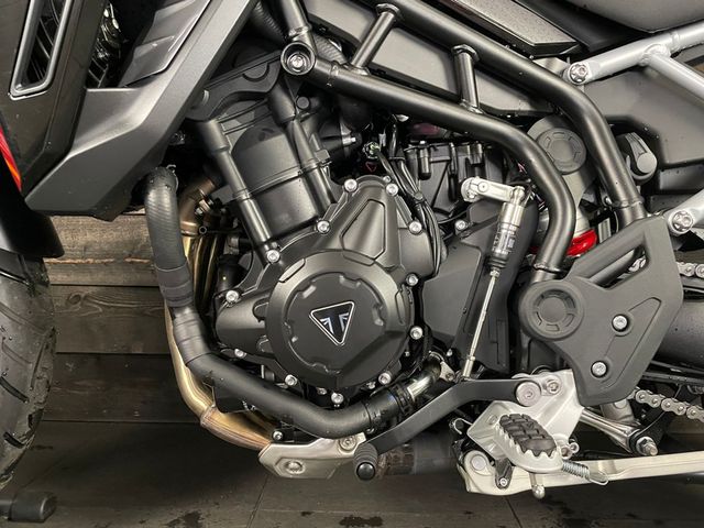 triumph - tiger-900-gt-pro