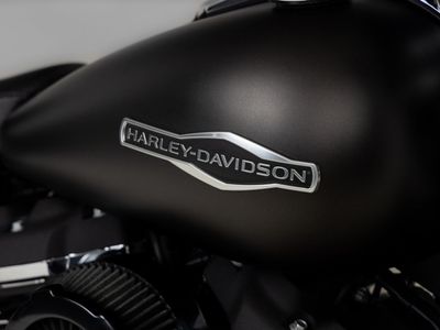 HARLEY-DAVIDSON SPORT GLIDE FLSB – foto 3
