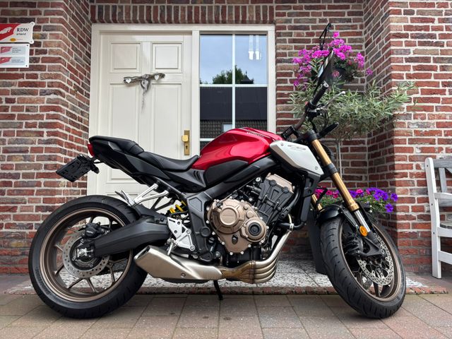 honda - cb-650-r-neo-sports-cafe
