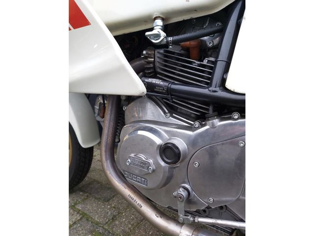 ducati - 600-sl-pantah