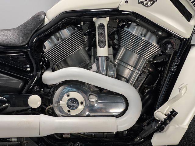 harley-davidson - v-rod-muscle-vrscf