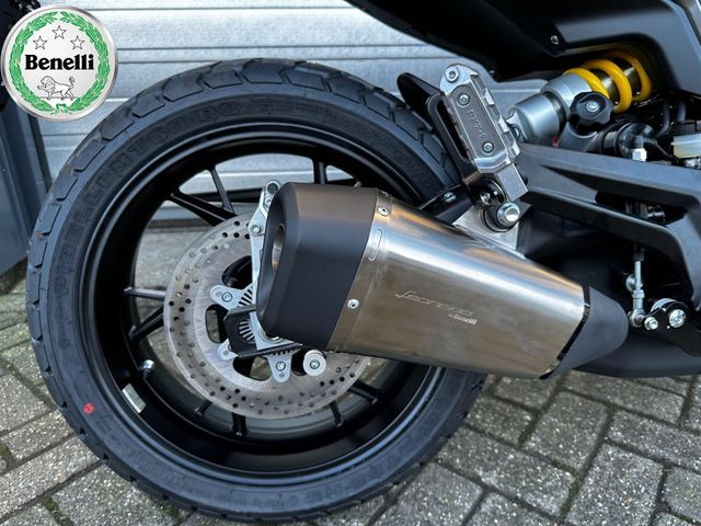 benelli - leoncino-800