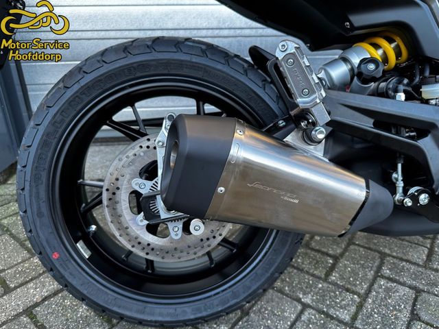 benelli - leoncino-800