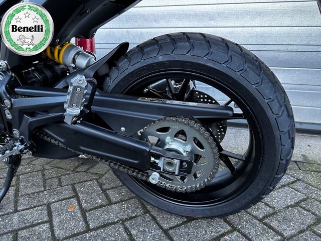 benelli - leoncino-800