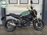 BENELLI LEONCINO 800