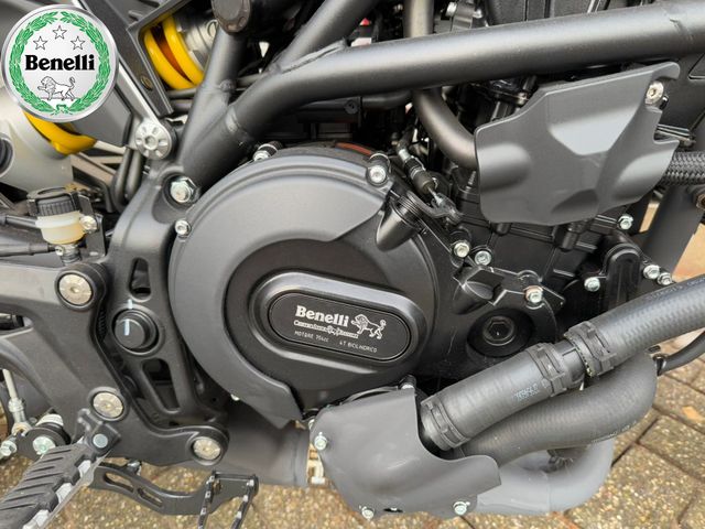 benelli - leoncino-800